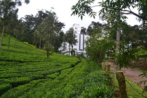 Land view from property - The New Oak Fields (Devikolam)