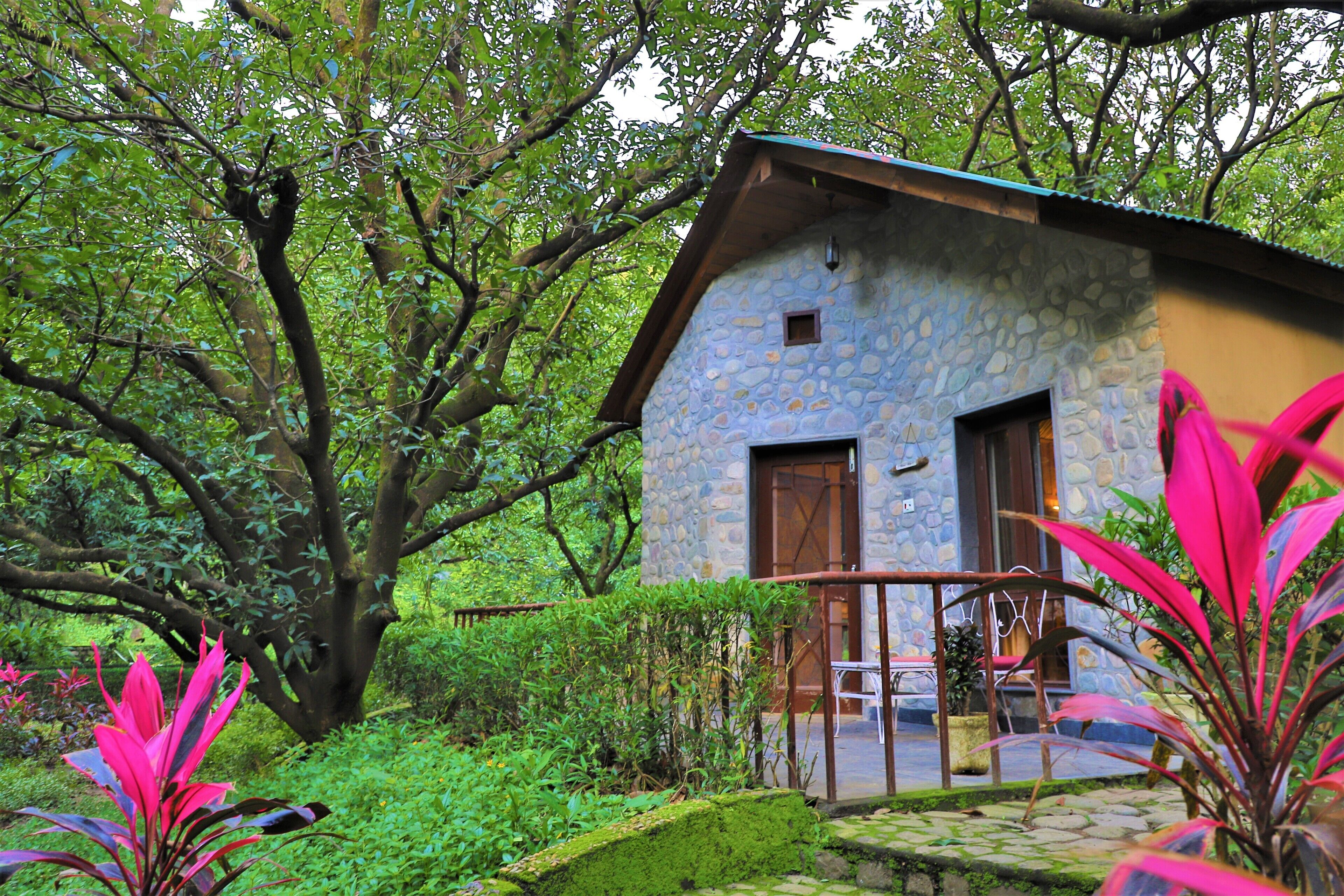 A stone building with a wooden door and a small window, surrounded by lush greenery and trees.