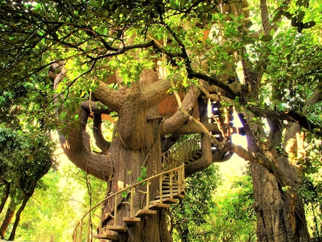 Tree House Machan. The Den