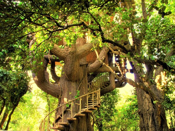 Coffres-forts dans les chambres, décoration personnalisée