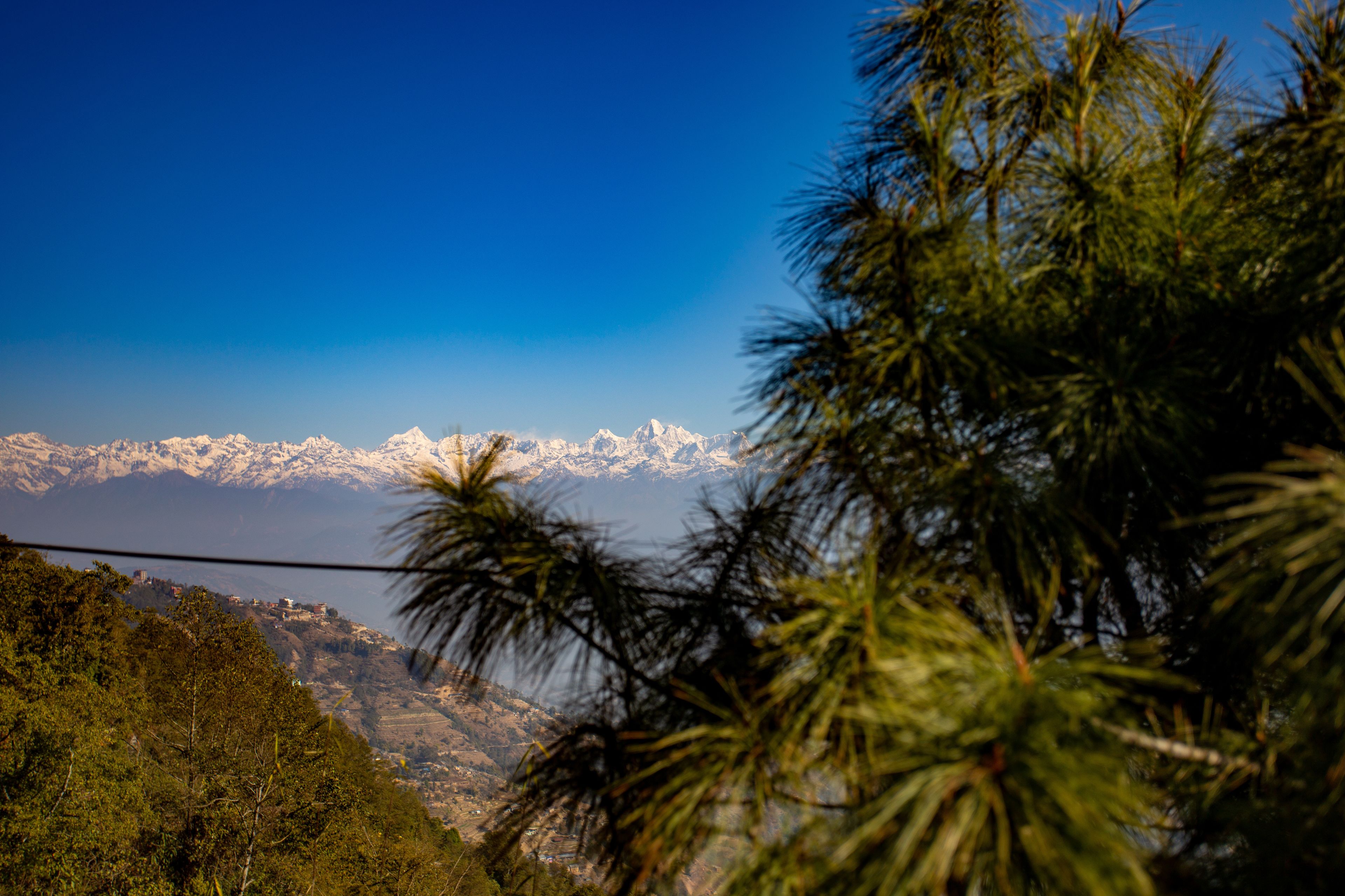 A mountainous landscape with snow-capped peaks and dense forest foliage.