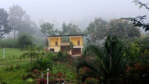 A two-story yellow building with a balcony, surrounded by lush greenery and a misty atmosphere.