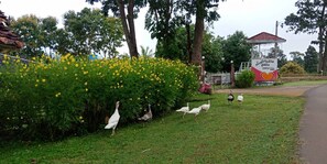 Front of property - Phuchandang Resort (Khun Yuam)