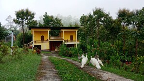 A yellow building with a balcony, surrounded by greenery and a path.
