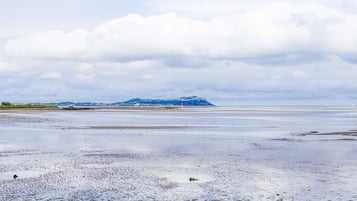 海灘