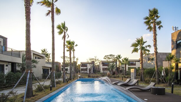 Ein Pool mit Liegestühlen und Palmen, umgeben von modernen Gebäuden.