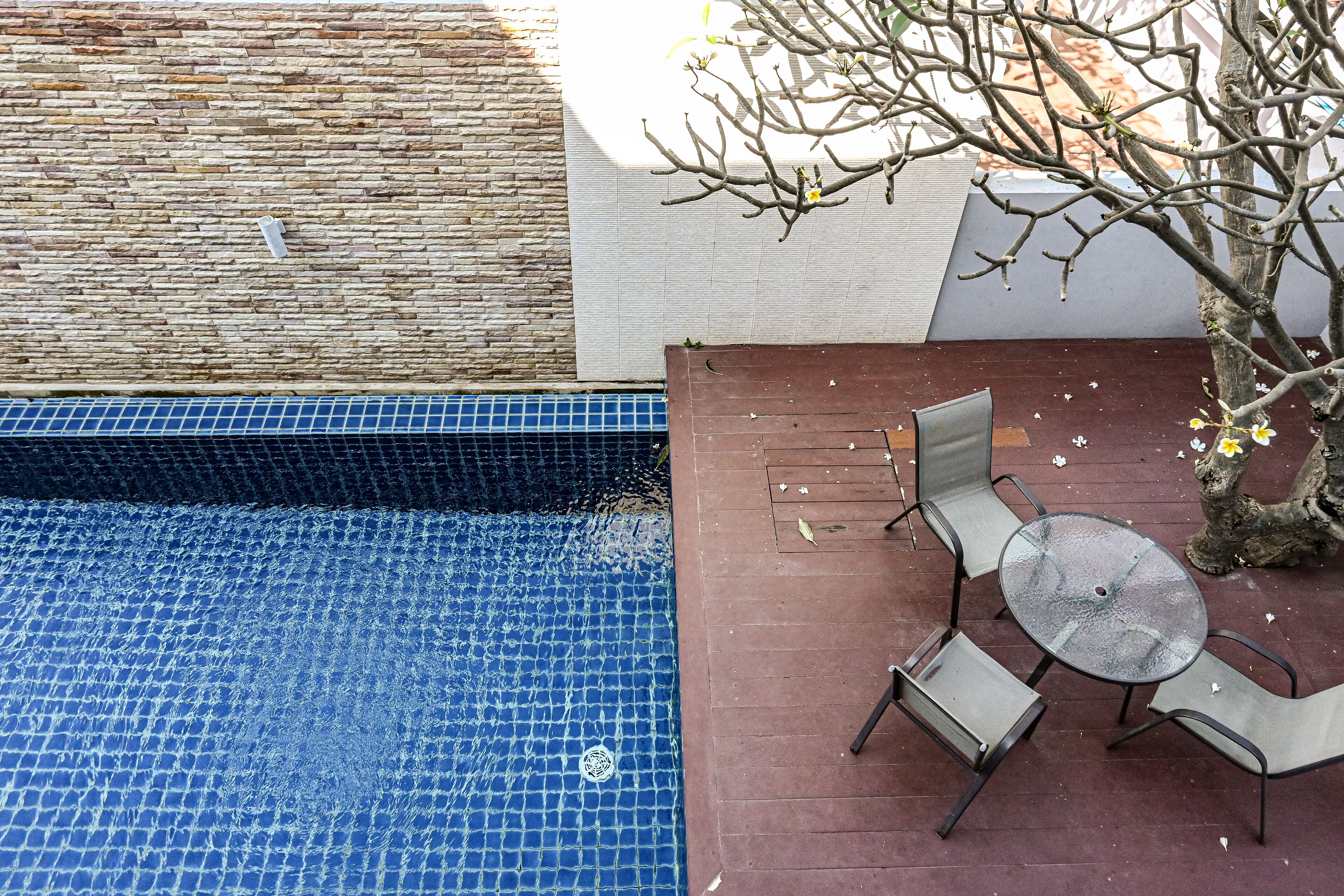 A swimming pool with a tiled edge, a patio with a table and chairs, and a tree with blossoms.