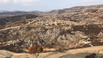Un paisaje montañoso con un sendero de tierra y vegetación escasa.