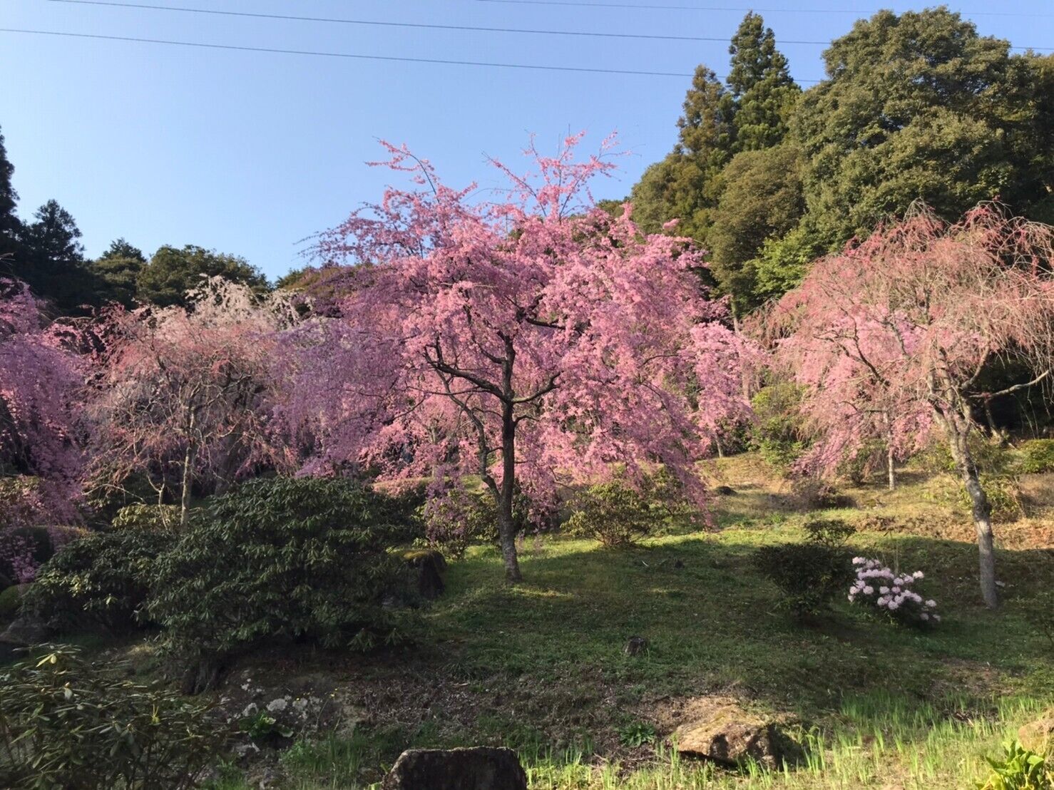 景點