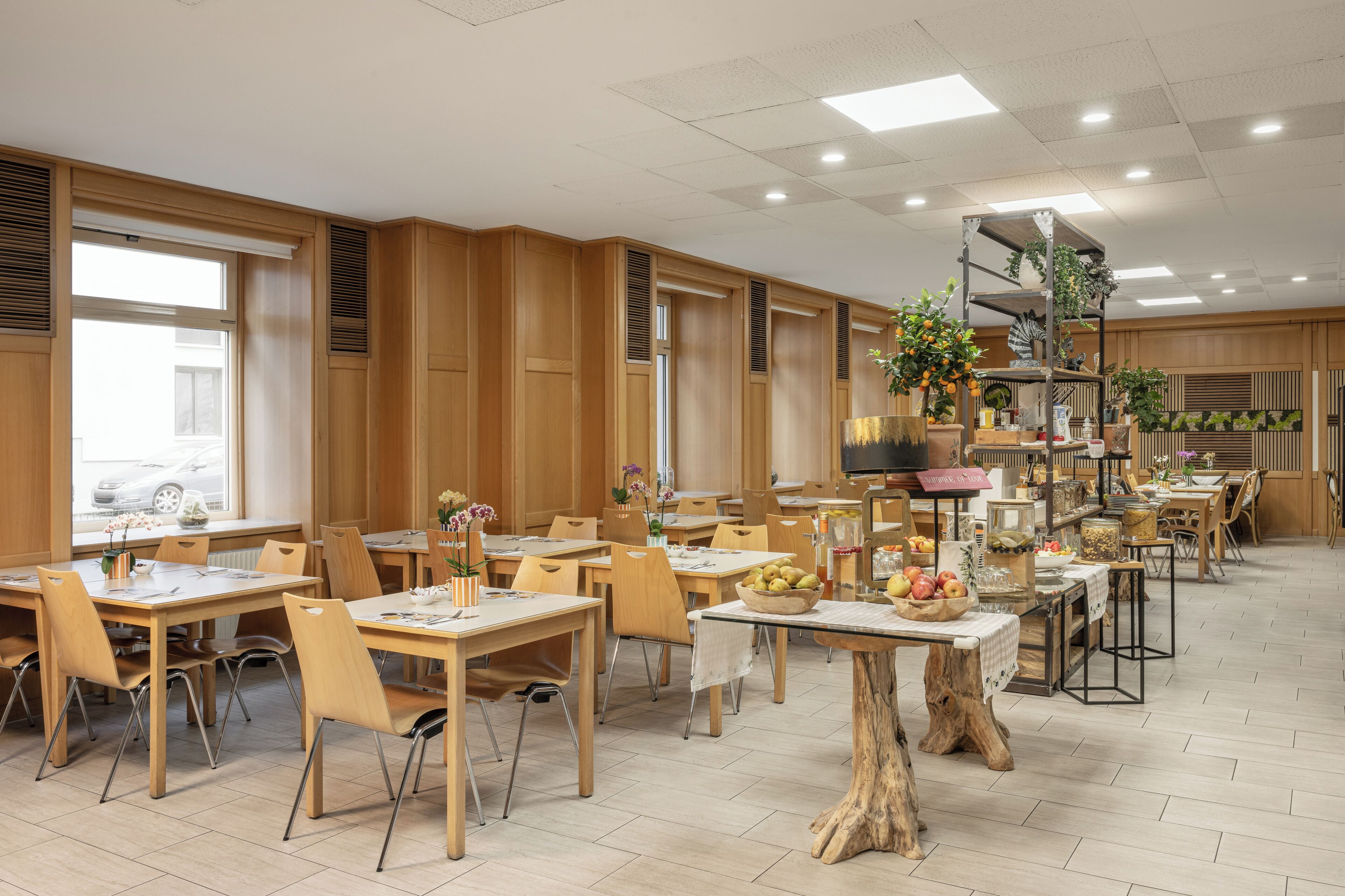 Photo - myNext - Hotel Rudy