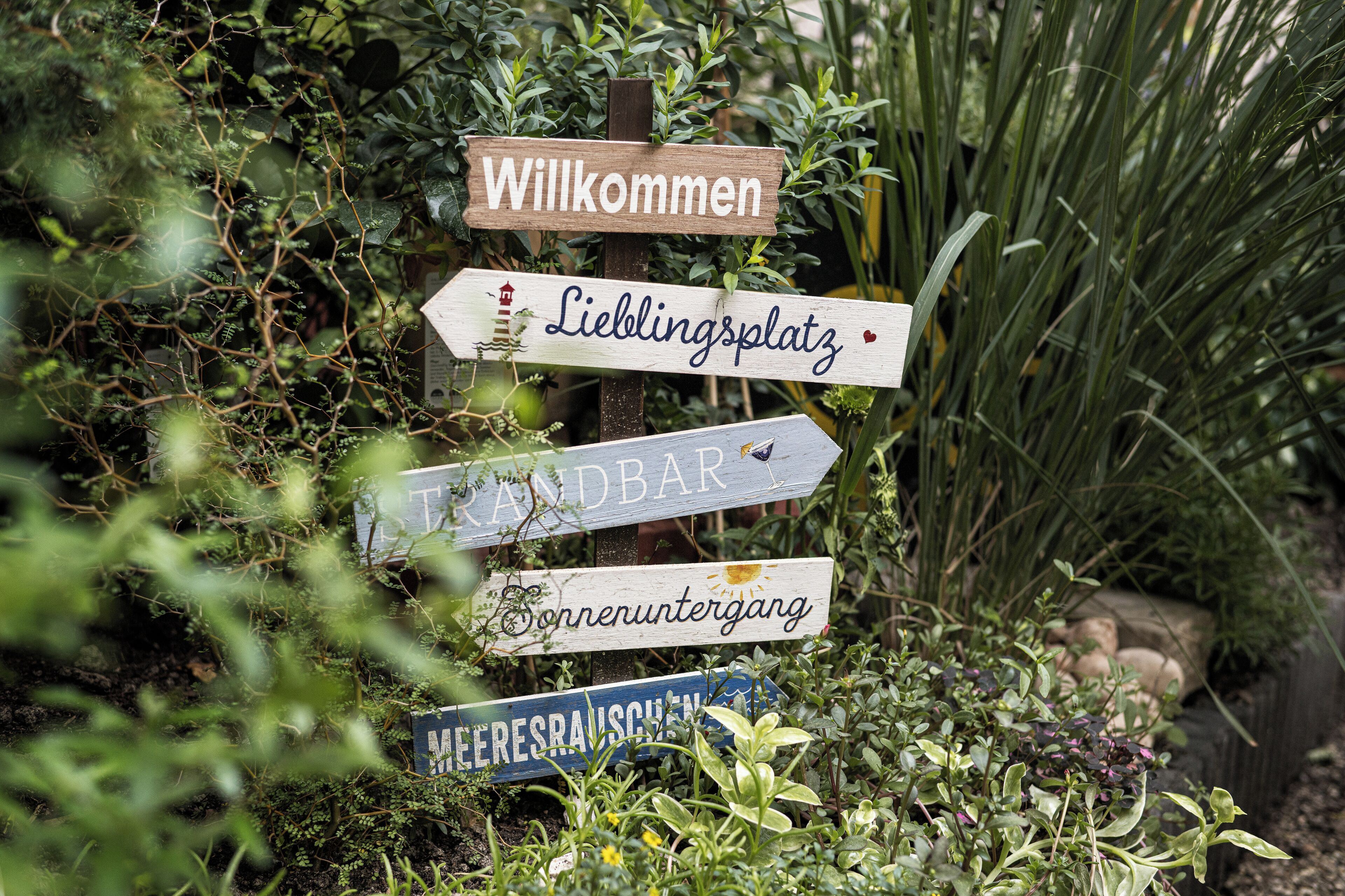 Photo - myNext - Hotel Rudy