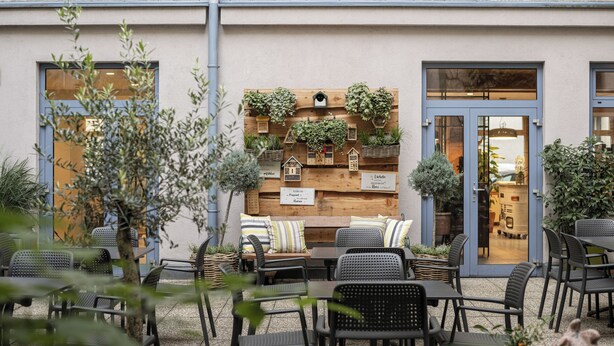 An outdoor seating area with tables and chairs, a wooden wall display with plants and birdhouses, and a building entrance with a blue door. - myNext - Hotel Rudy (Vienna)