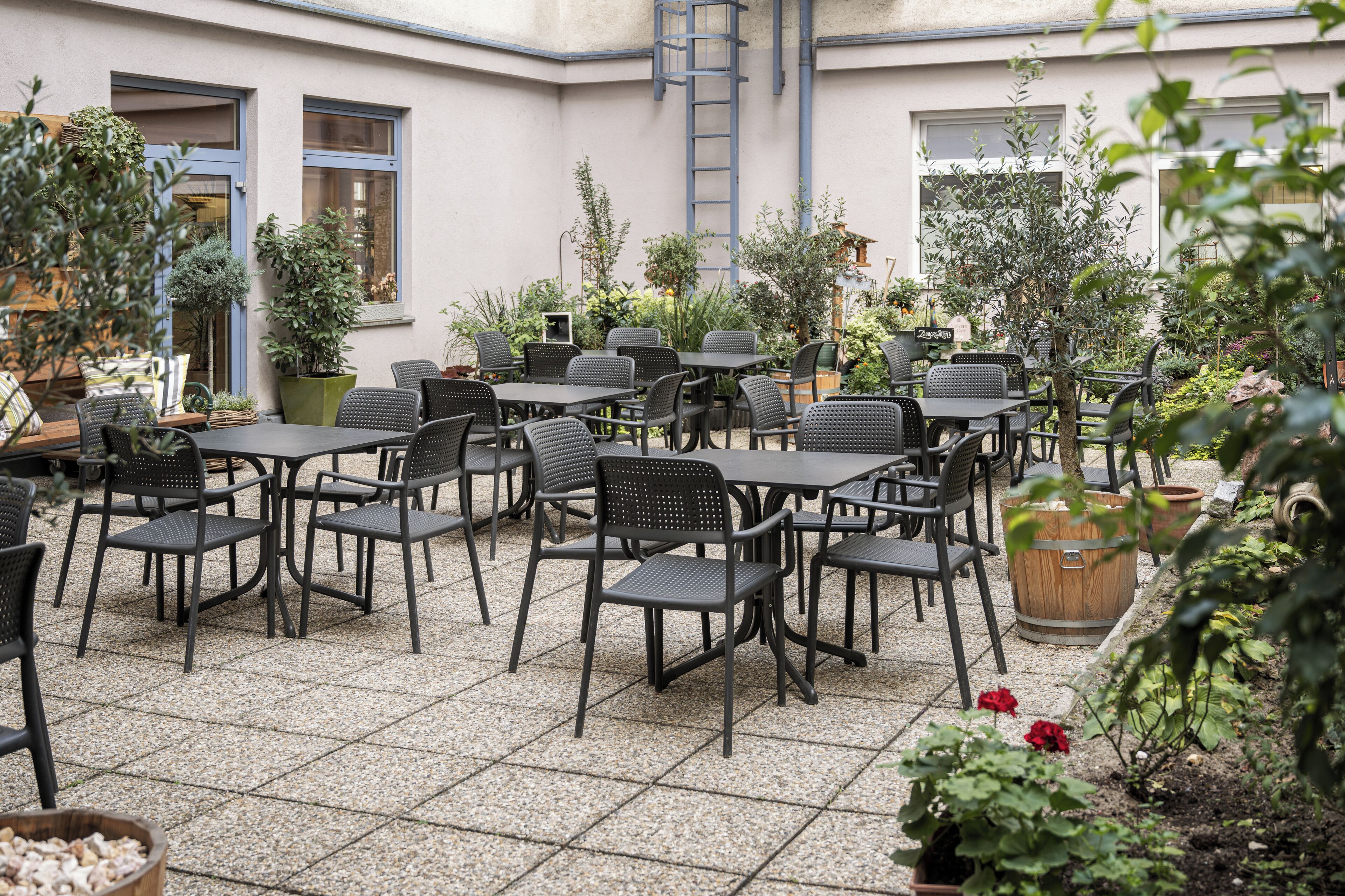 Photo - myNext - Hotel Rudy