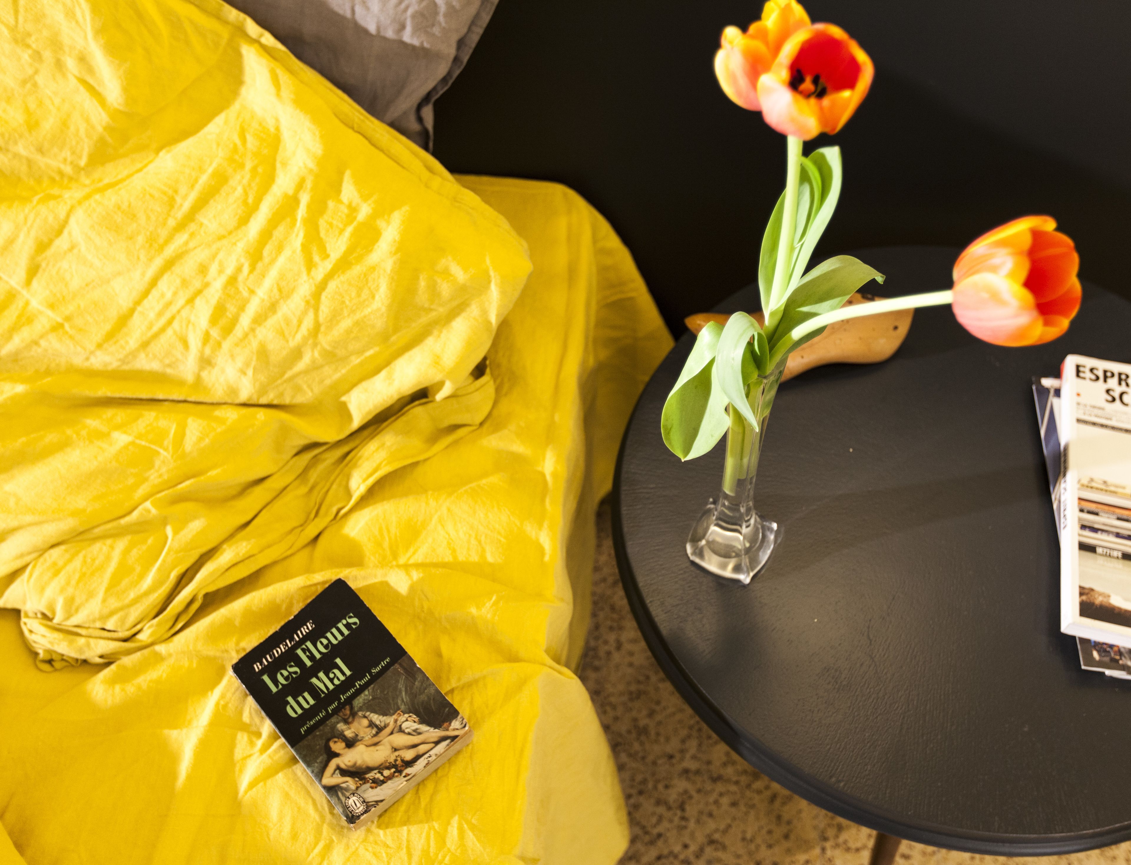 superior double or twin room | 1 bedroom, premium bedding, pillow-top beds, soundproofing