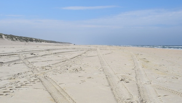 Beach - Hotel De Kluut (Vlieland)