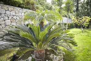 Jardin