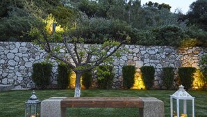 Un muro de piedra con un árbol al frente, un banco de madera y dos faroles en una terraza de madera.