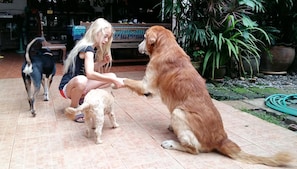 Property grounds - Golden Teak Home Resort (Chiang Mai)