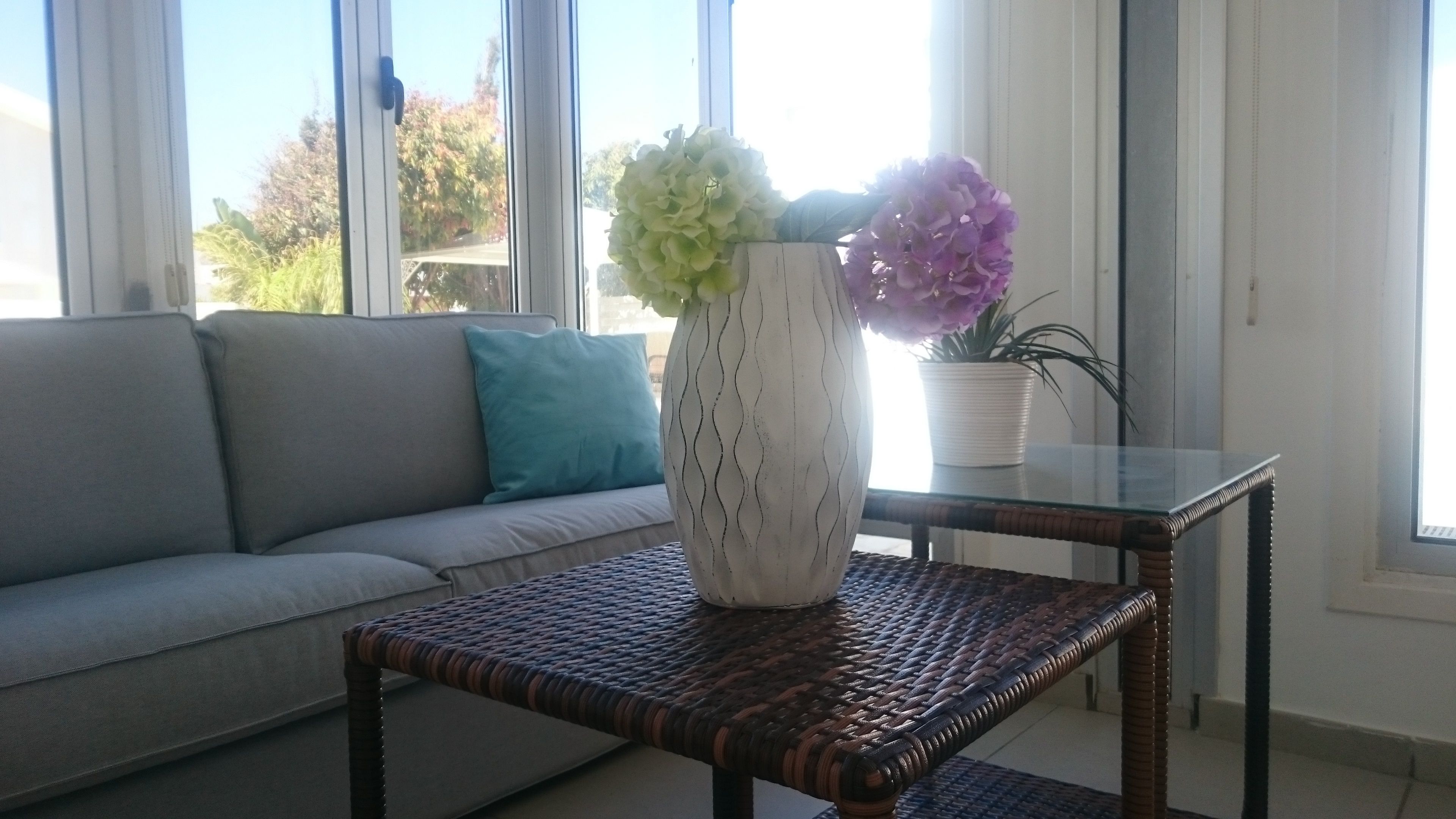 Televisión de pantalla plana, reproductor de DVD