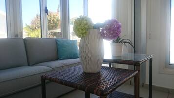 Televisión de pantalla plana, reproductor de DVD