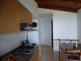 Family Apartment, 2 Bedrooms | Private kitchen | Stovetop