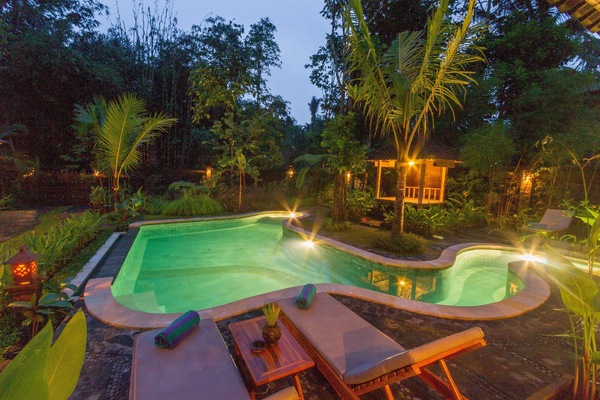 Outdoor pool, sun loungers