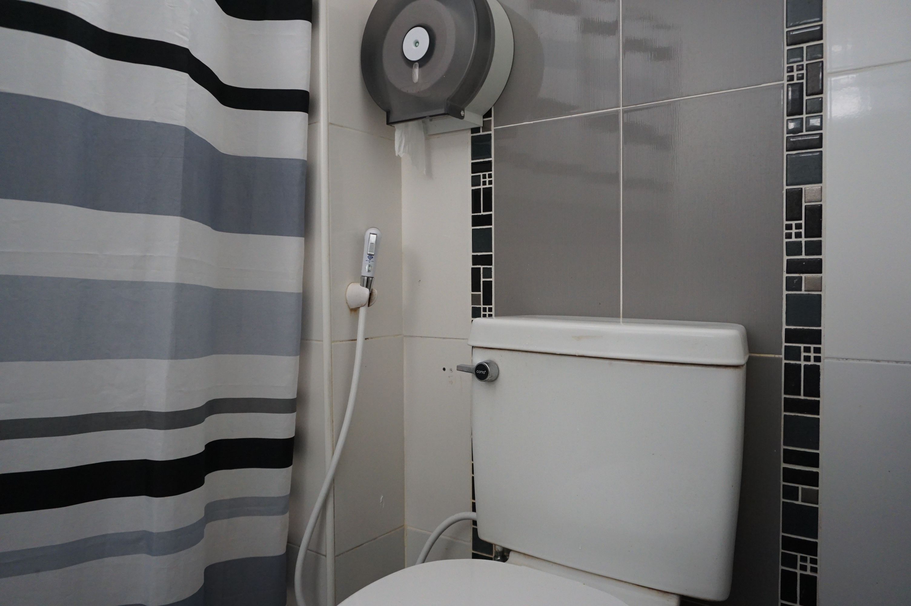 A bathroom with a striped shower curtain, a toilet, and a toilet paper holder.