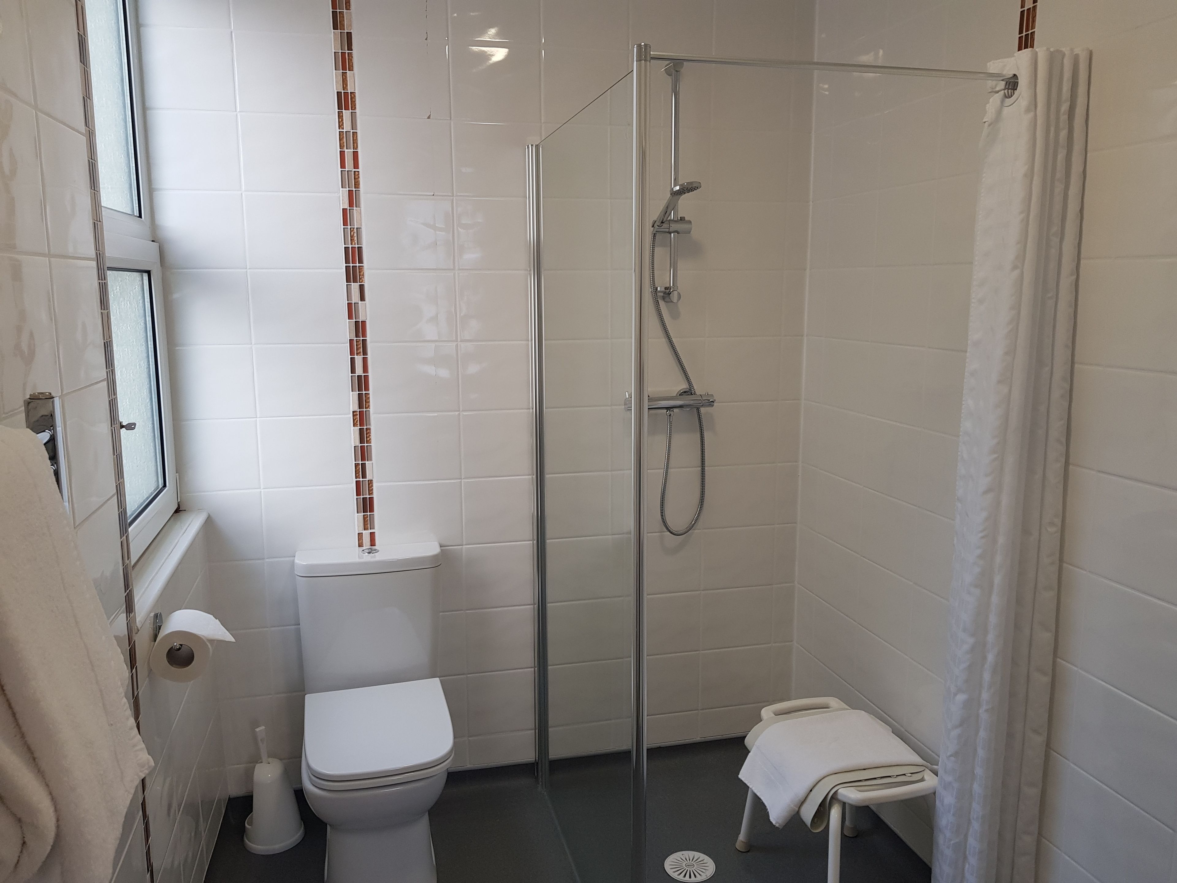 A bathroom with a toilet, a shower, and a small stool.