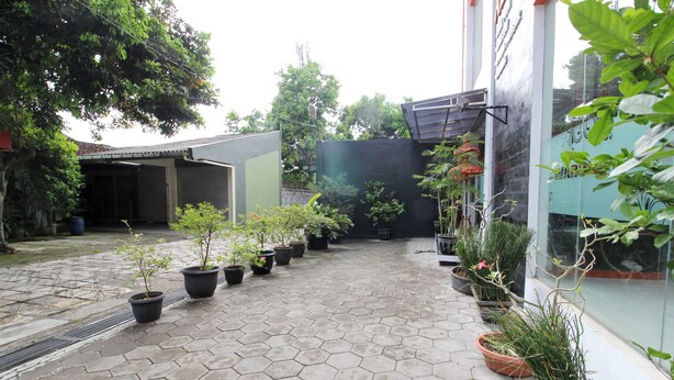 Une cour pavée où des plantes en pot sont disposées en rangées, un bâtiment doté d’un toit en pente et un mur de verre sur la droite.