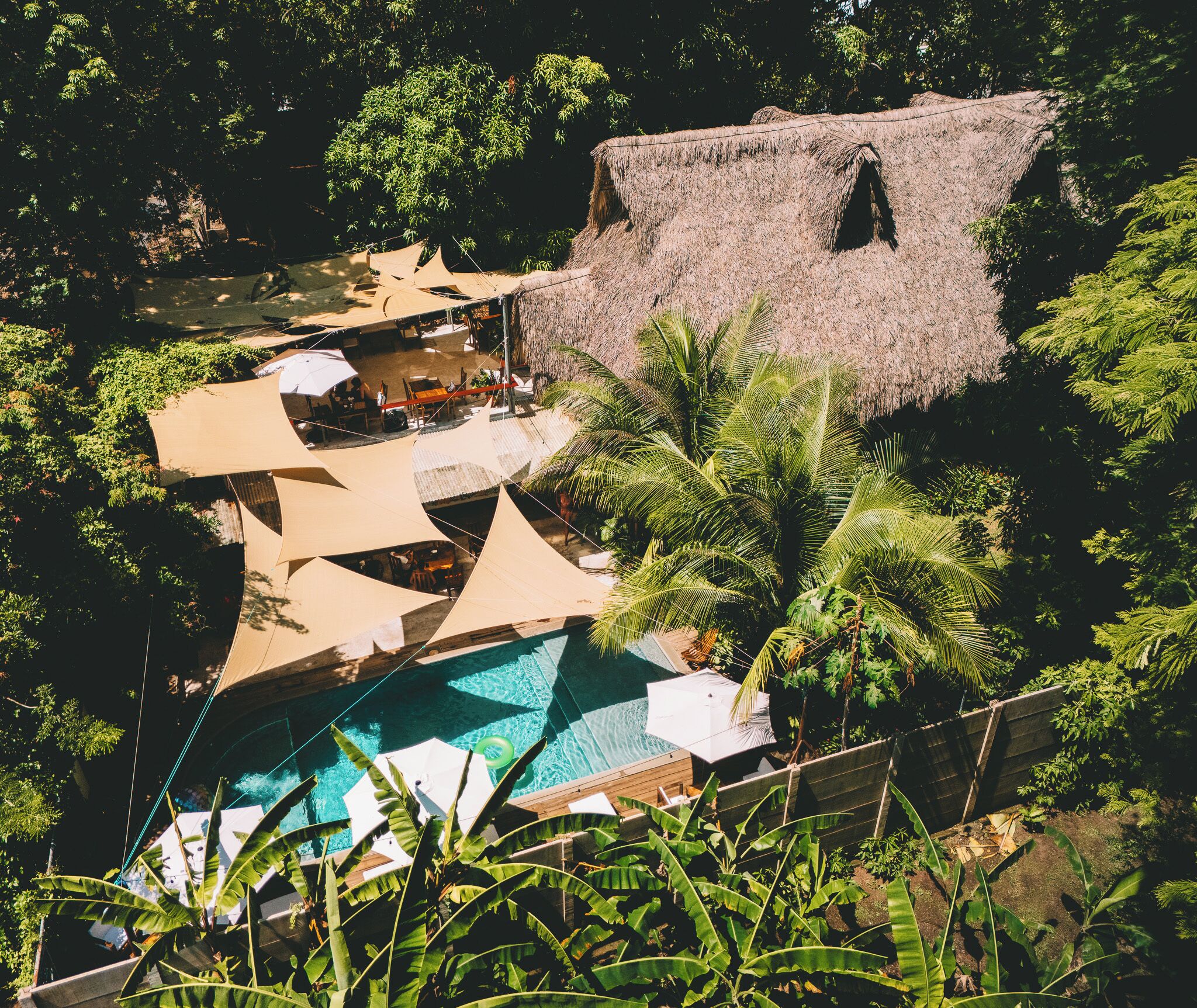 A resort with a pool, thatched-roof structures, and lush greenery.