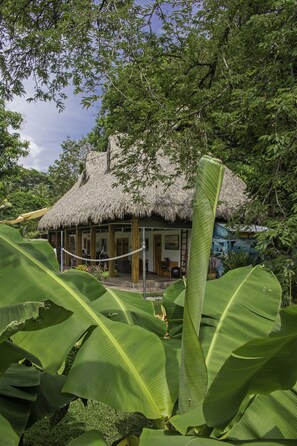 Terrace/patio - Hotel Michanti (Chiltiupan)