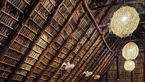 An attic room with a high, sloped ceiling, wooden beams, and a hammock. - Hotel Michanti (Chiltiupan)