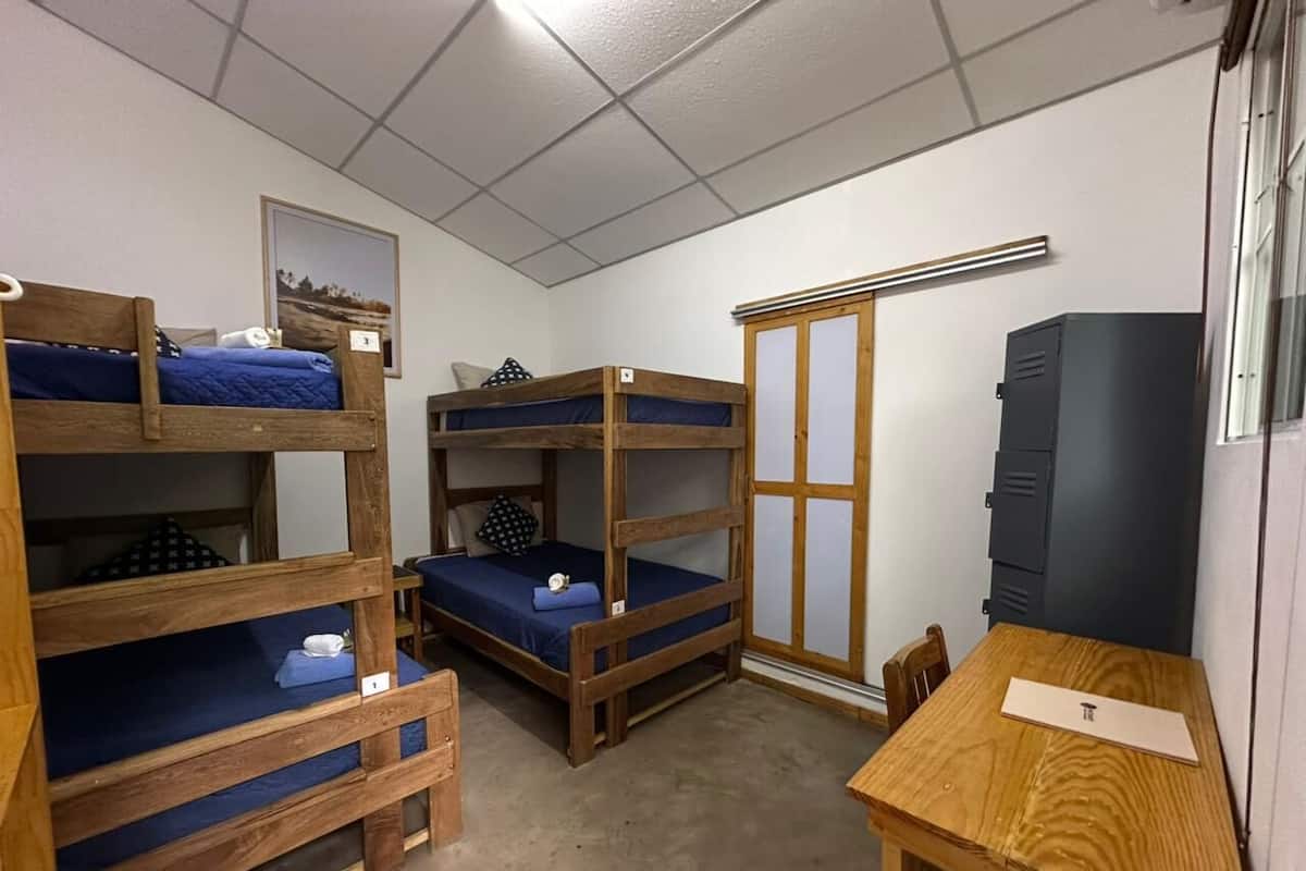 Economy Shared Dormitory, Mixed Dorm (La Point)
