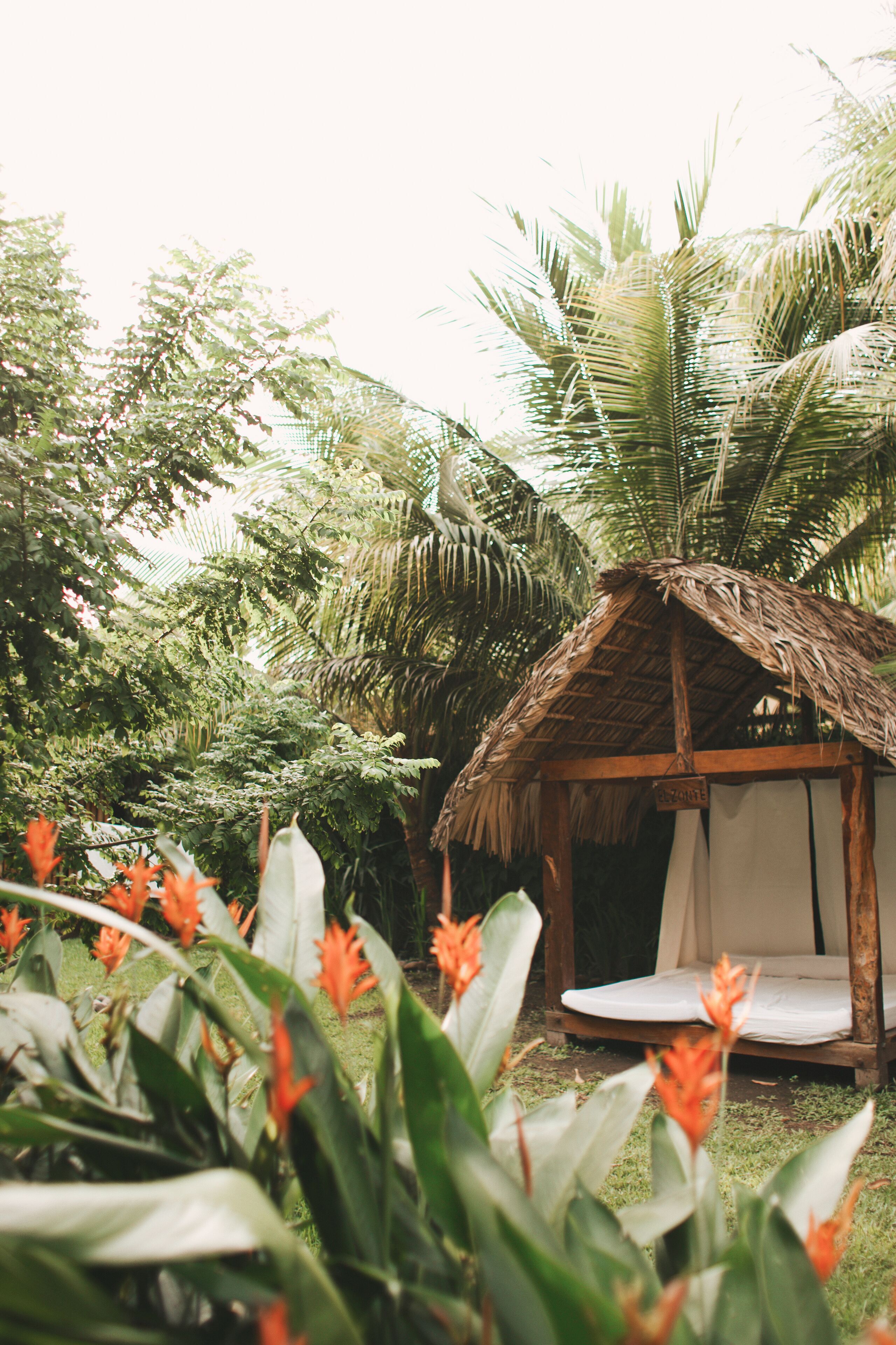 A rustic hut with a thatched roof, surrounded by lush greenery and tropical plants.