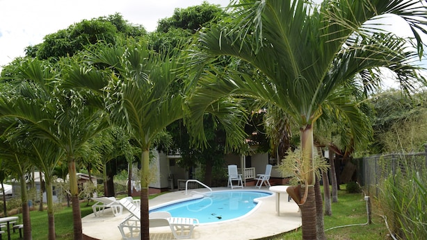 A swimming pool surrounded by palm trees and white lounge chairs. - Eullen Villa (Arthurs Seat)