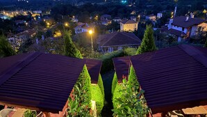 Un jardín en la azotea con un pequeño elemento acuático, rodeado de plantas en macetas y muebles de madera.
