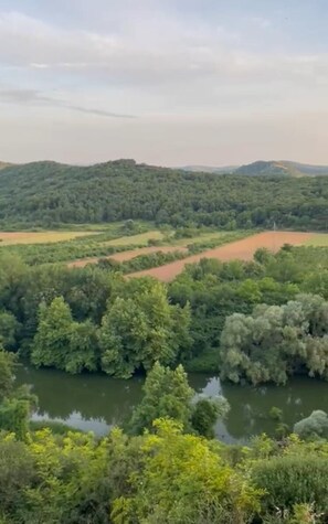 Un paisaje con un río, vegetación densa y colinas a lo lejos.