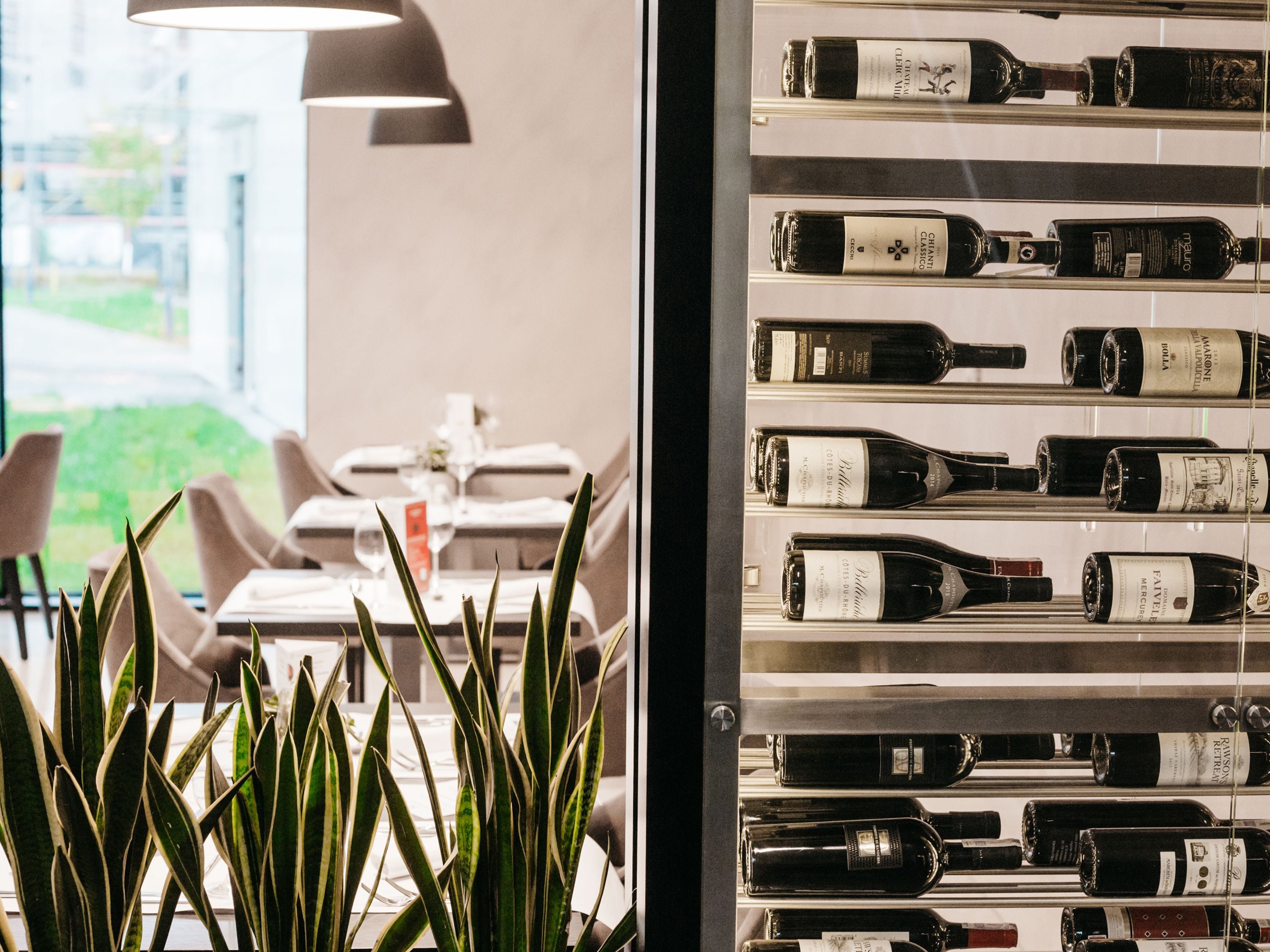 Una estantería con varias botellas de vino, una mesa con sillas y una planta en primer plano.