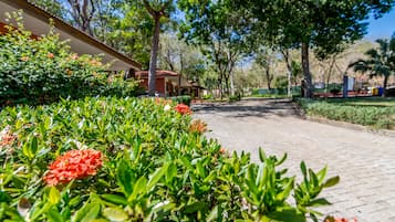 Jardin