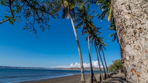 Ein Strand mit Palmen und blauem Himmel.