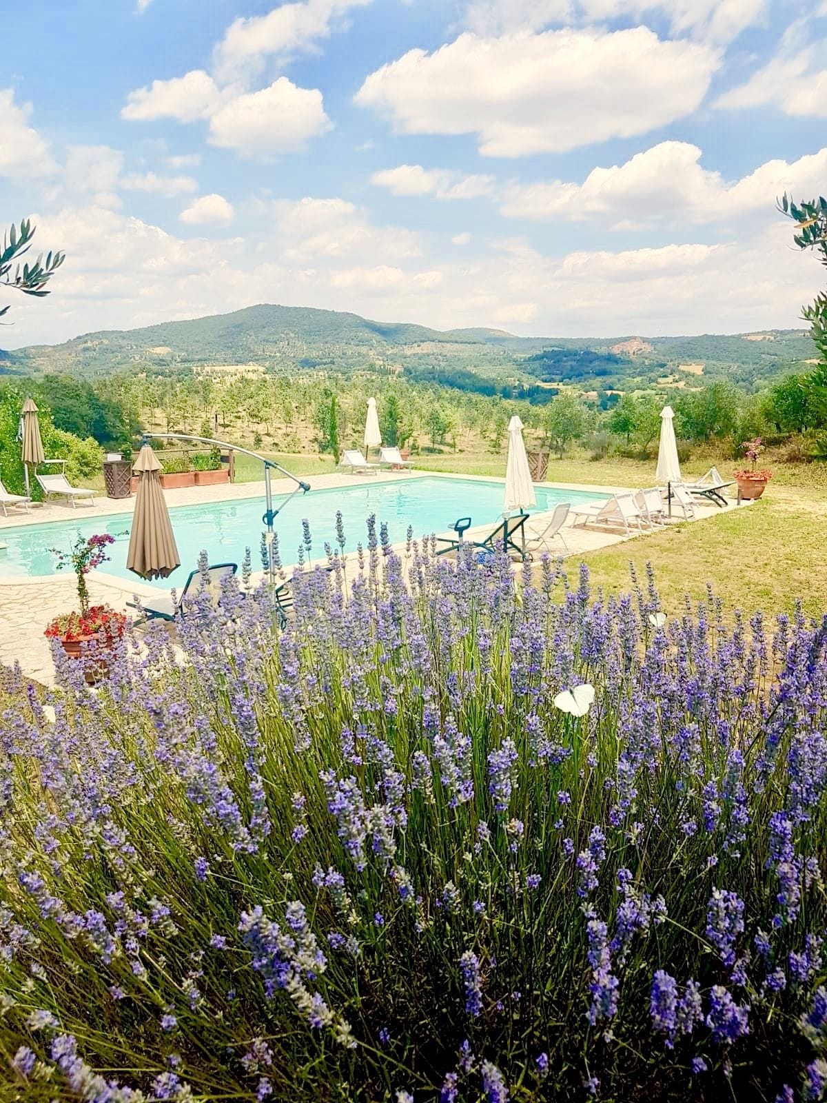 Außenpool (je nach Saison geöffnet), Pool auf dem Dach, Sonnenschirme