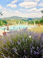 季节性开放的室外游泳池，屋顶泳池，池畔遮阳伞，日光浴躺椅