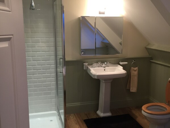 A bathroom with a glass shower enclosure, a pedestal sink, a mirror, and a toilet. - The Old Dispensary (Kinsale)
