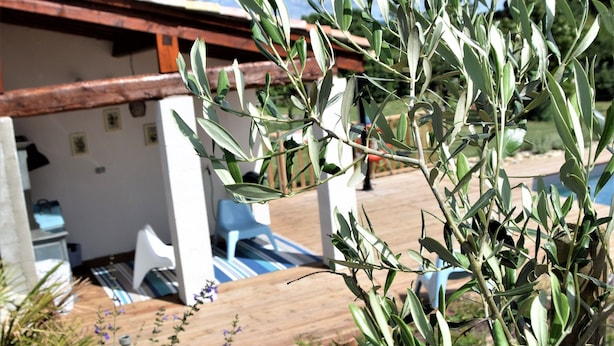 Uma área de estar externa com deck de madeira, um edifício branco e uma árvore ao fundo.