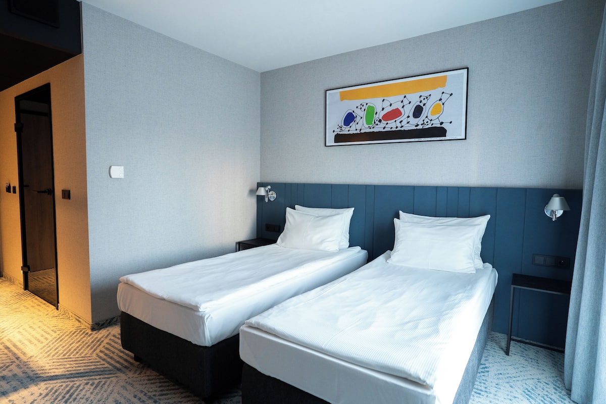 Standard Twin Room | Minibar, in-room safe, desk, laptop workspace