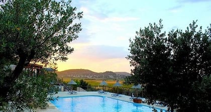 Camping Mer et Camargue