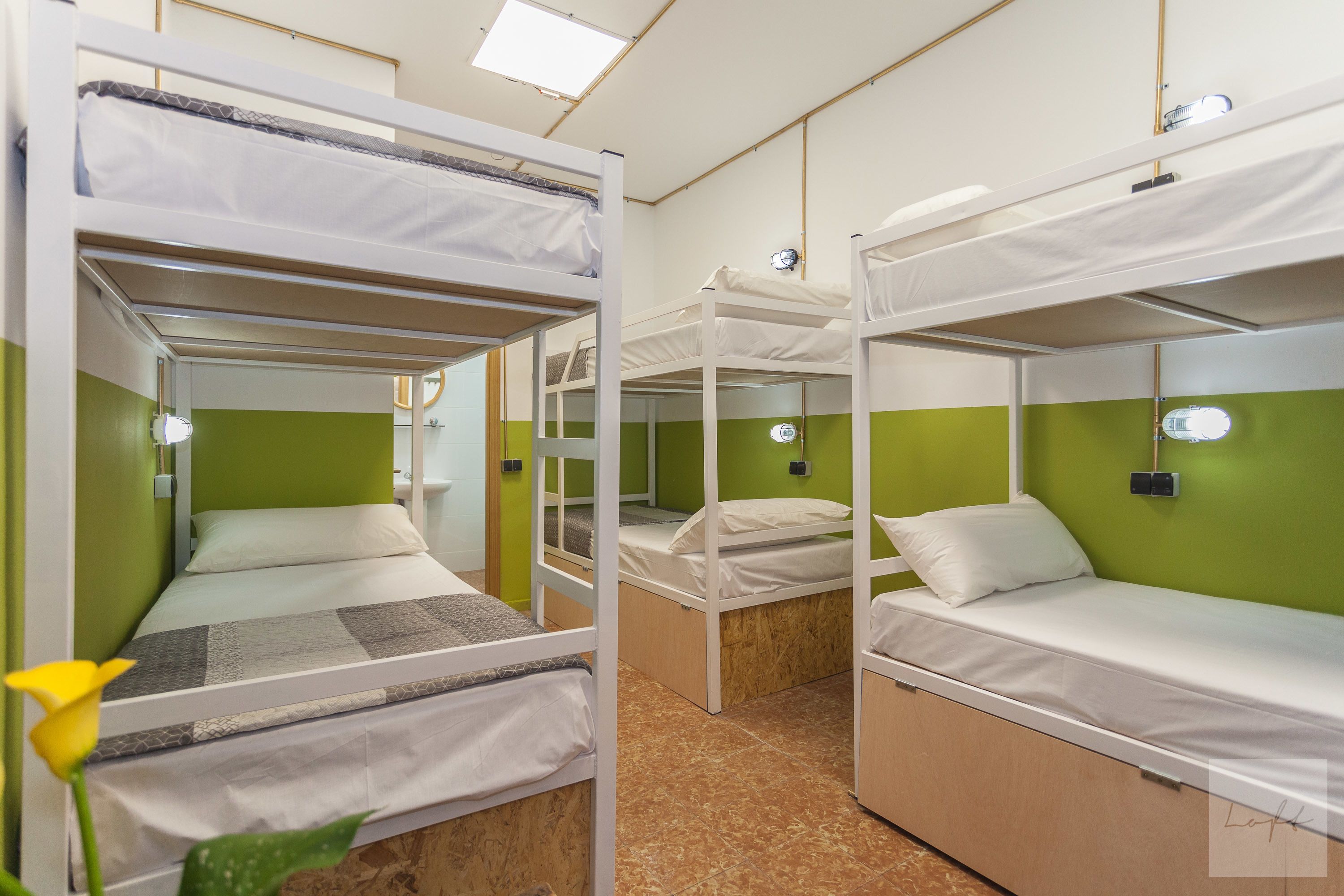 Une chambre de dortoir avec des lits superposés, des murs verts et une fleur sur le côté gauche.