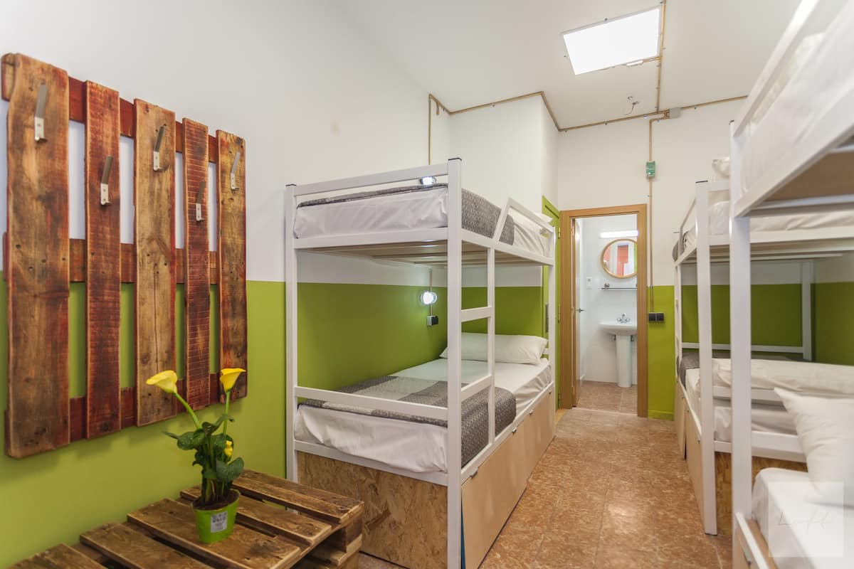 Een studentenkamer met stapelbedden, een houten wanddecoratie, een tafeltje en een pot met een plant.