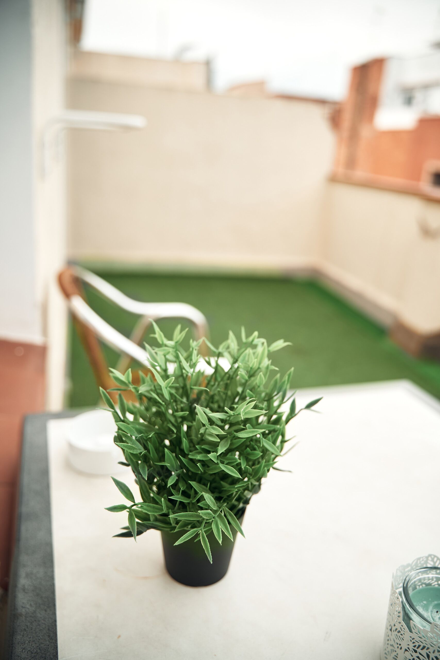 Una planta en maceta sobre una mesa en una habitación con suelo verde y pared blanca.