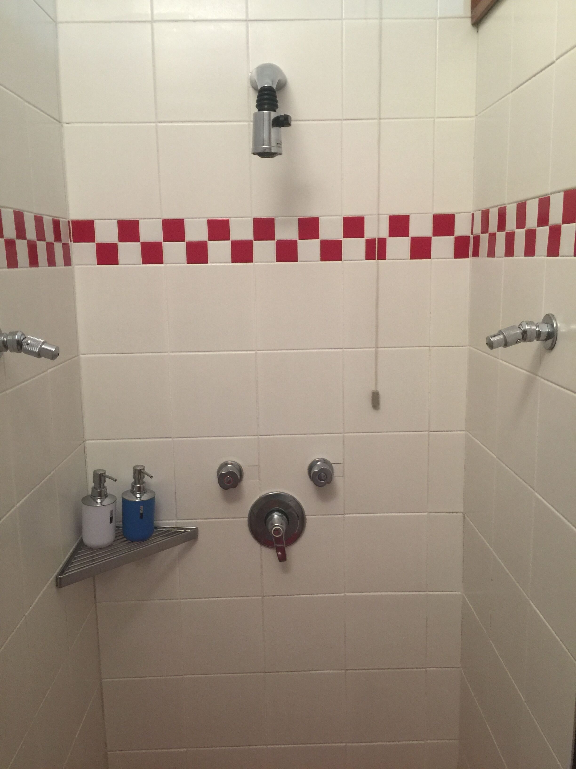 A bathroom with white tiles, a red and white checkered border, a showerhead, a faucet, and two soap dispensers on a shelf.